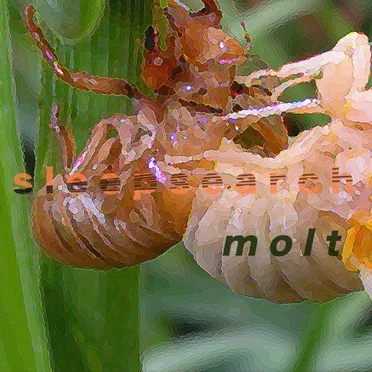 Molt EP