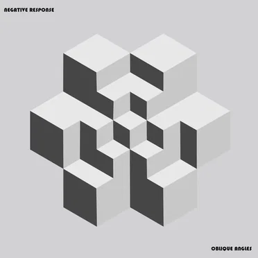 Oblique Angles by Negative Response - album cover