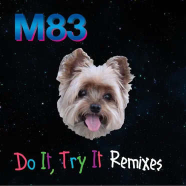 Do It, Try It (remixes)