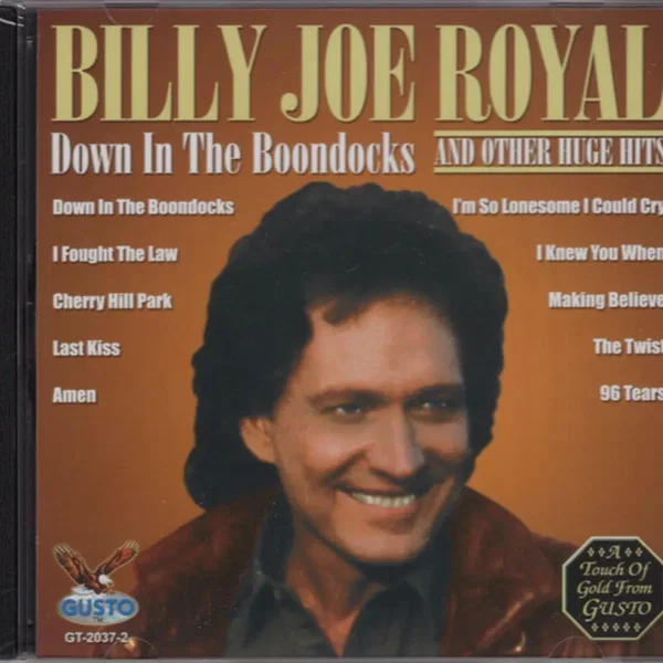Down in the Boondocks and Other Huge Hits