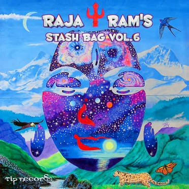 Raja Ram’s Stash Bag 6 by Various Artists - album cover