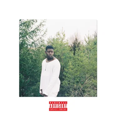 The Call Of The Wild by Chavis Chandler - album cover