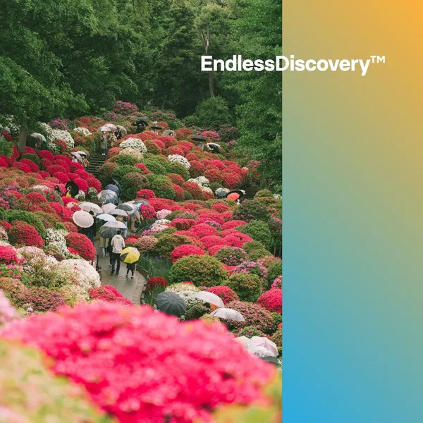 EndlessDiscovery™ 2
