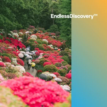 EndlessDiscovery™ 2