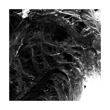 GASH by MERCER - album cover