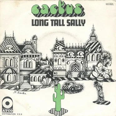 Long Tall Sally