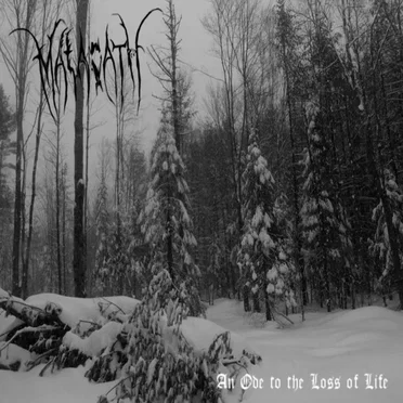 An Ode to the Loss of Life