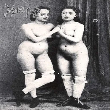 Porn Is Not Allowed Now, Try to Jerk Off to Public Domain Erotica, There Is Plenty of It on the Internet