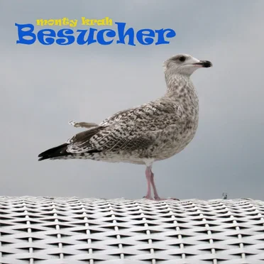 Besucher by Monty Krah - album cover