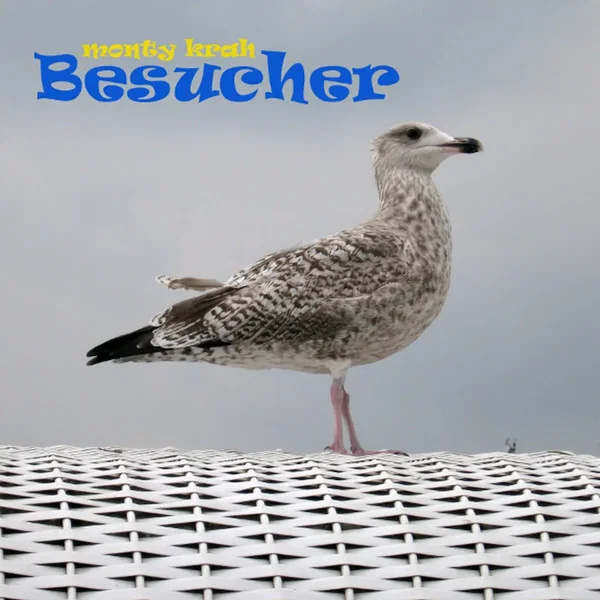 Besucher