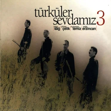 Türküler Sevdamız 3 by Various Artists - album cover