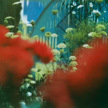 The Haze by Pulled Apart by Horses - album cover