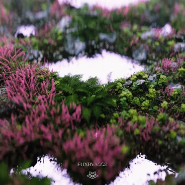 Fuxbau VA 002 by Various Artists - album cover
