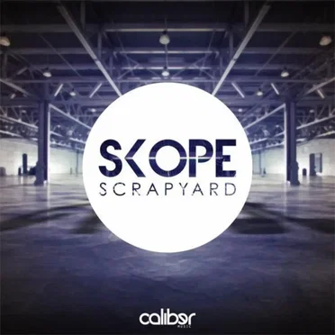 Scrapyard / When I Look At You by Skope - album cover