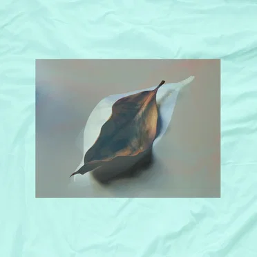 old blossom by tea steam - album cover