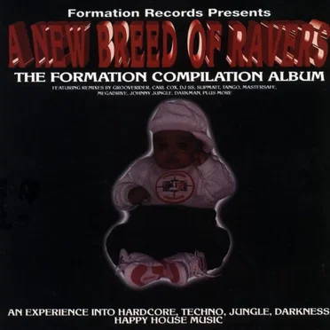 A New Breed of Ravers by Various Artists - album cover