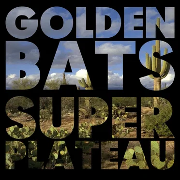 Superplateau