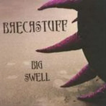 Big Swell by Baecastuff - album cover