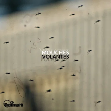Mouches Volantes by Machinespirit - album cover