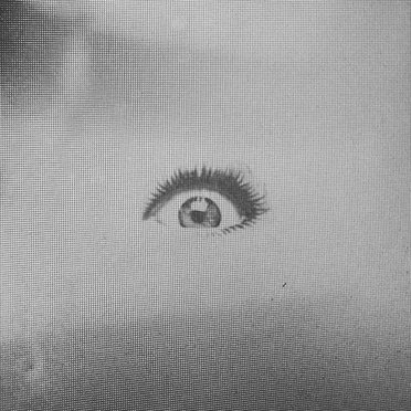 Vibrating in Exile by Has a Shadow - album cover