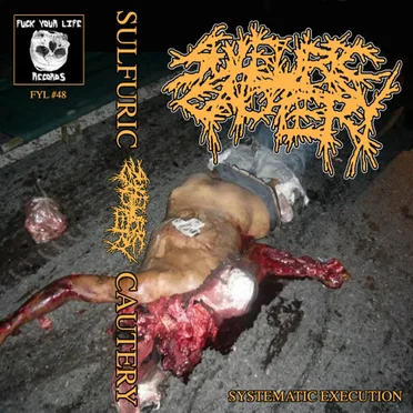 Systematic Execution Tour Tape 2016