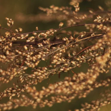 состояния : страх