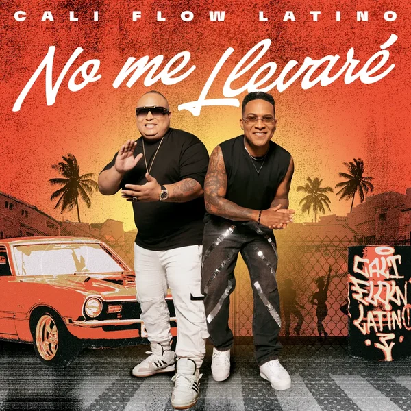 No me llevaré