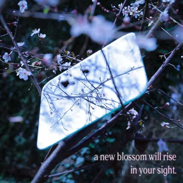New Blossom