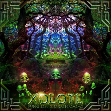 Fungidelic Marshrooms by Xolotl - album cover