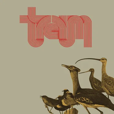 Traum by TRAUM - album cover