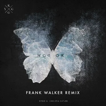 Not Ok (Frank Walker remix)
