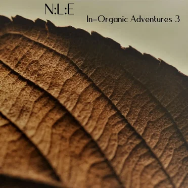 In-Organic Adventures 3