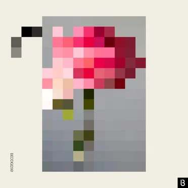 Forever / Paper Walls