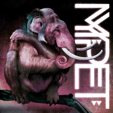 Reflex EP by MYPET - album cover