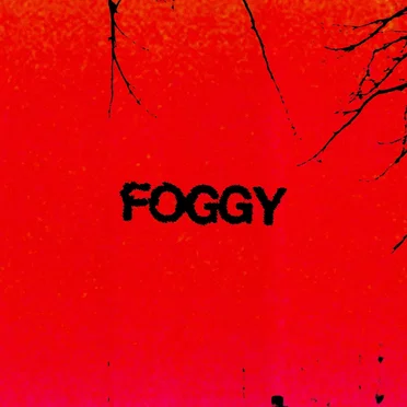 Foggy by The Family Battenberg - album cover