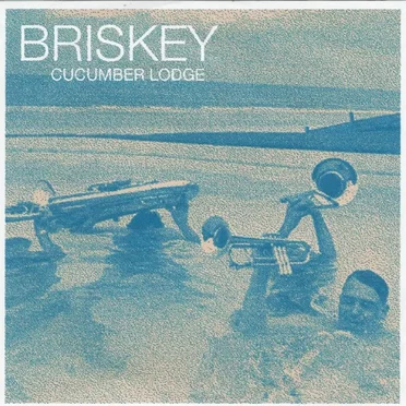 Cucumber Lodge by Briskey - album cover