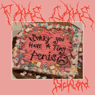 Fake Cake