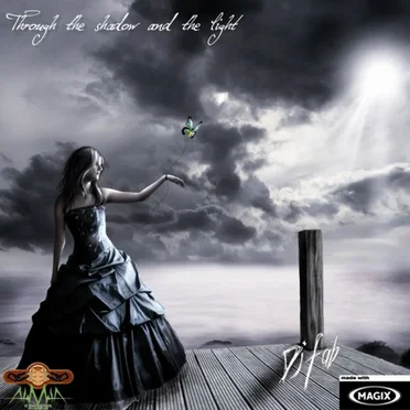 Through the Shadow and the Light by Dj Fab - album cover