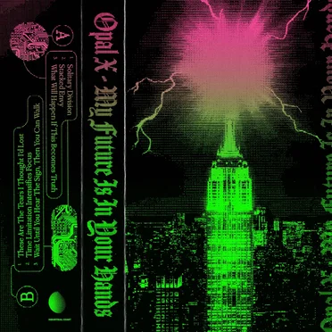 My Future Is in Your Hands by Opal X - album cover