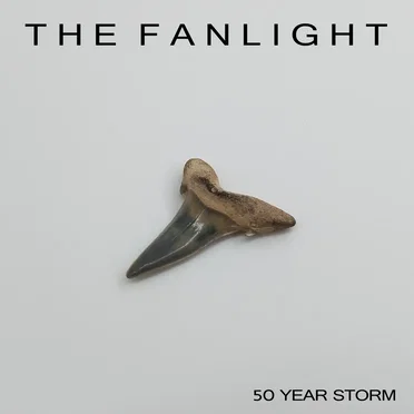 50 Year Storm