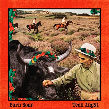 Barn Sour by Teen Angst - album cover
