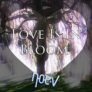 Love Is In Bloom