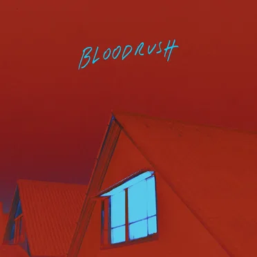 Bloodrush by The Amazons - album cover