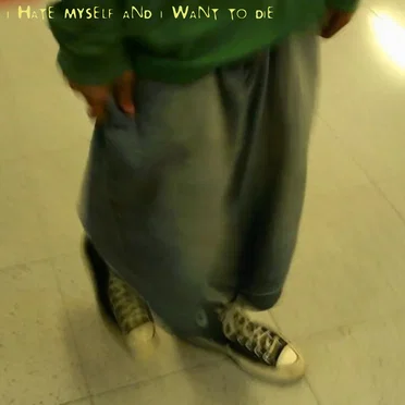 All of Your Friends Are Whores by I Hate Myself and I Want To Die - album cover