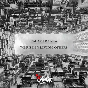 We Rise By Lifting Others by Various Artists - album cover