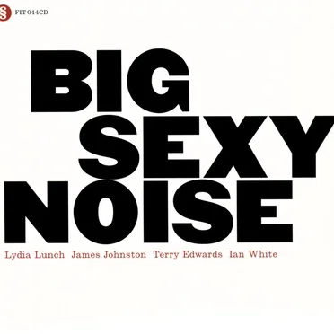 Big Sexy Noise