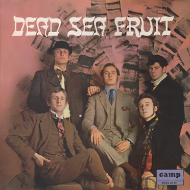 Dead Sea Fruit by Dead Sea Fruit - album cover