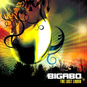 The Last Liquid by Bigabo - album cover