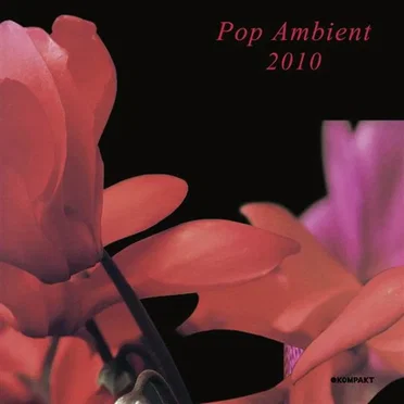 Pop Ambient 2010 by Various Artists - album cover