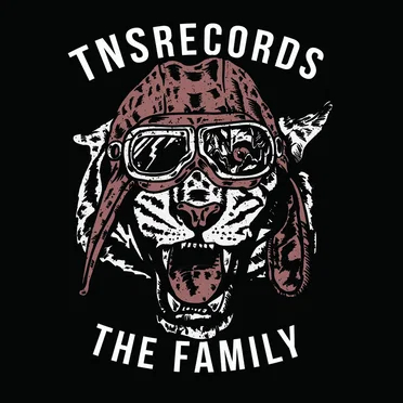 TNS Records: The Family by Various Artists - album cover